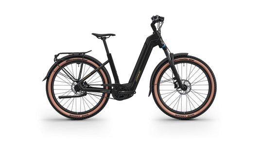 Conway Cairon C 1.0 B 800 Ebike Trekking