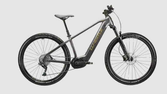 Whistle B-Race Eblade Ebike Hardtail