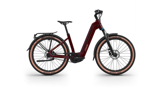 Conway Cairon C 1.0 B 800 Ebike Trekking